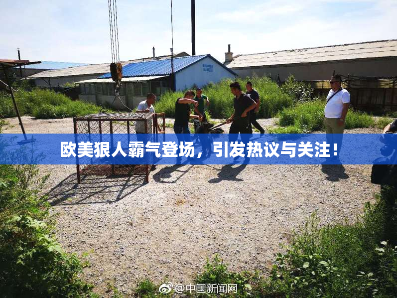 欧美狠人霸气登场，引发热议与关注！