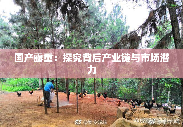 国产露重：探究背后产业链与市场潜力