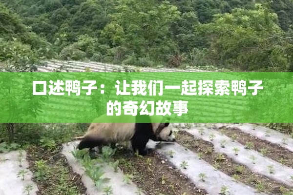 口述鸭子：让我们一起探索鸭子的奇幻故事