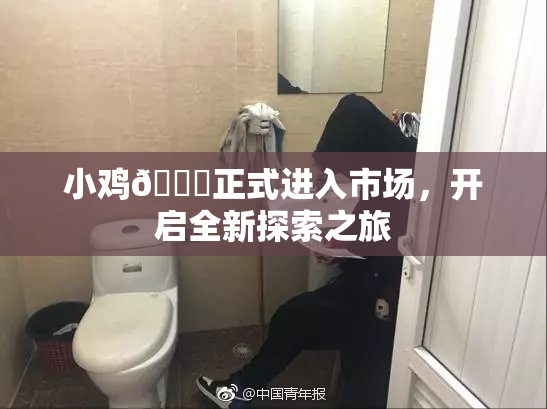 小鸡🐔正式进入市场，开启全新探索之旅