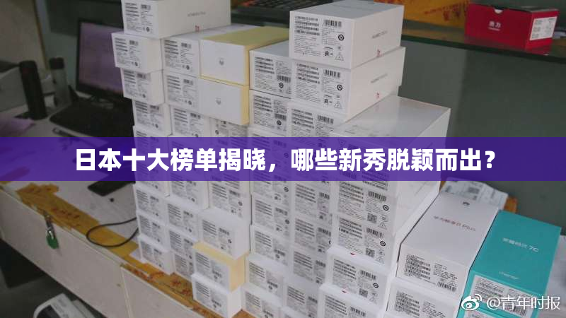 日本十大榜单揭晓，哪些新秀脱颖而出？