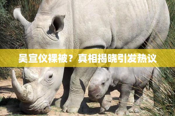 吴宣仪裸被？真相揭晓引发热议