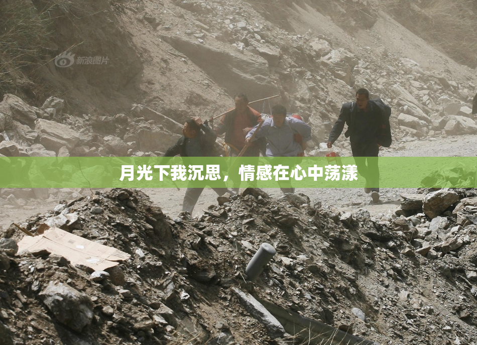 月光下我沉思，情感在心中荡漾