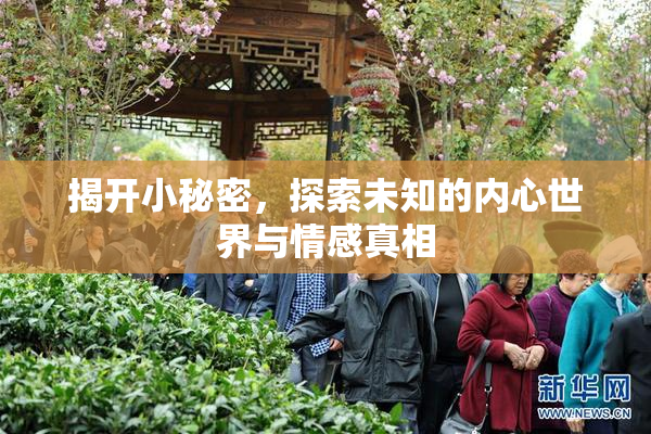 揭开小秘密，探索未知的内心世界与情感真相