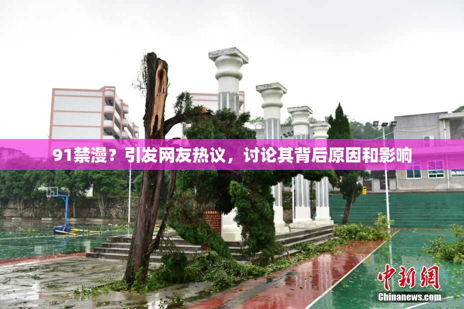 91禁漫？引发网友热议，讨论其背后原因和影响