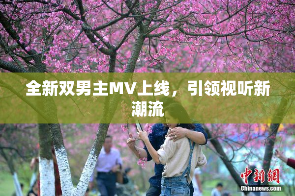 全新双男主MV上线，引领视听新潮流