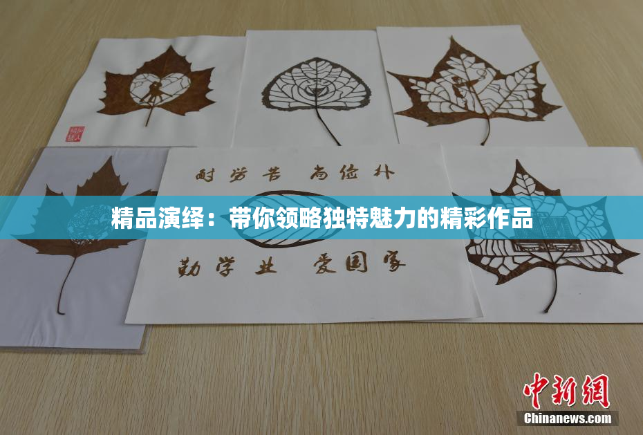 精品演绎：带你领略独特魅力的精彩作品