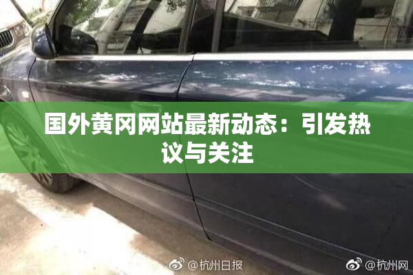 国外黄冈网站最新动态：引发热议与关注
