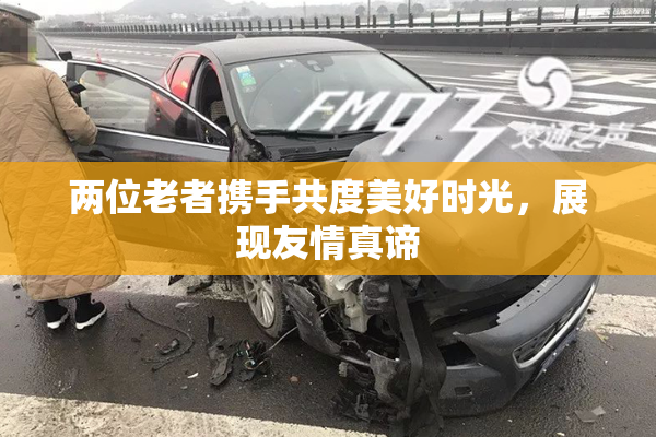 两位老者携手共度美好时光，展现友情真谛