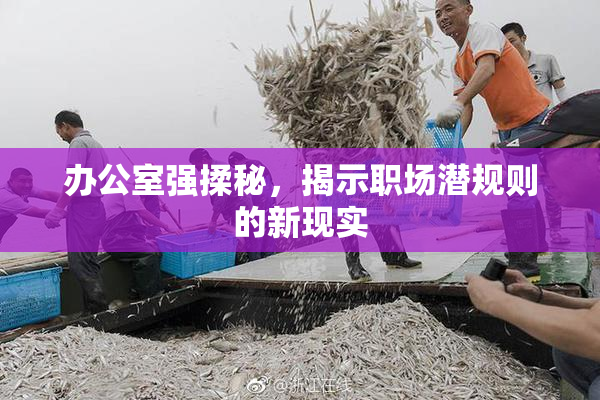 办公室强揉秘，揭示职场潜规则的新现实
