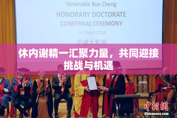 休内谢精一汇聚力量，共同迎接挑战与机遇