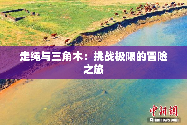走绳与三角木：挑战极限的冒险之旅