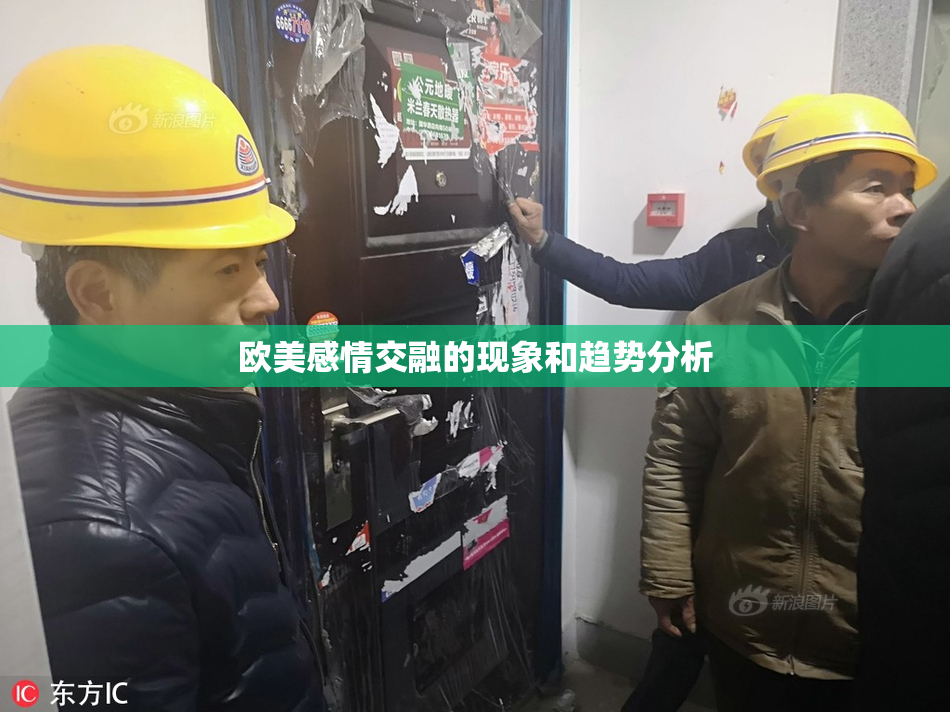 欧美感情交融的现象和趋势分析