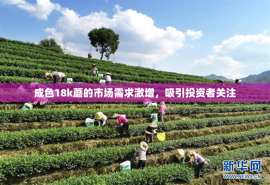 成色18k蘑的市场需求激增，吸引投资者关注