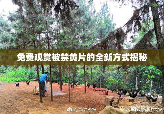 免费观赏被禁黄片的全新方式揭秘