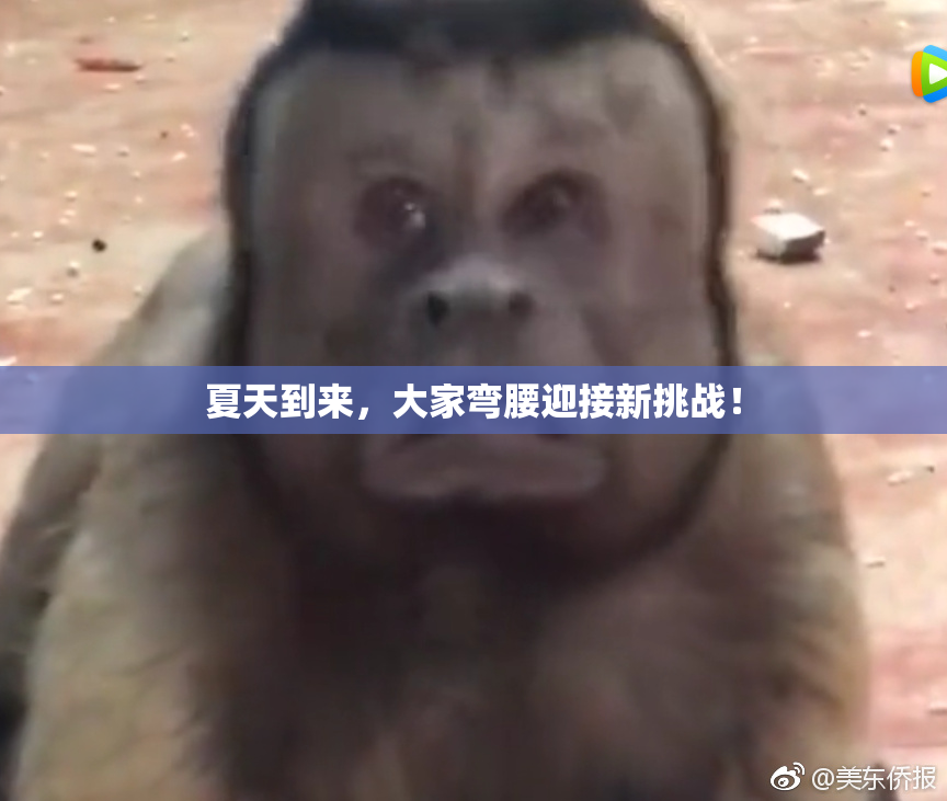 夏天到来，大家弯腰迎接新挑战！