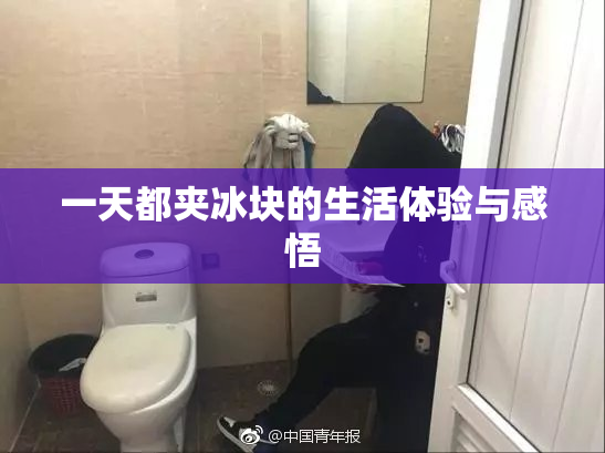 一天都夹冰块的生活体验与感悟