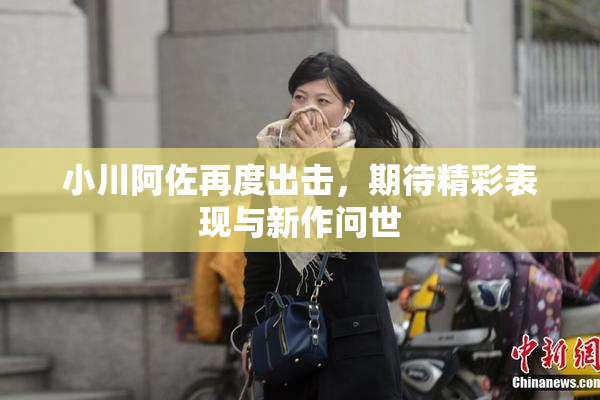 小川阿佐再度出击，期待精彩表现与新作问世