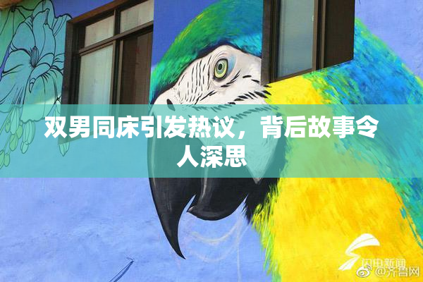 双男同床引发热议，背后故事令人深思