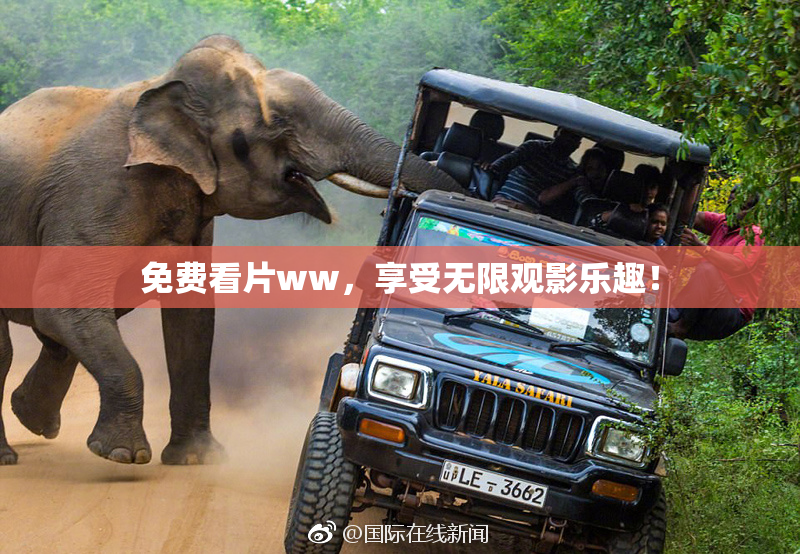 免费看片ww，享受无限观影乐趣！