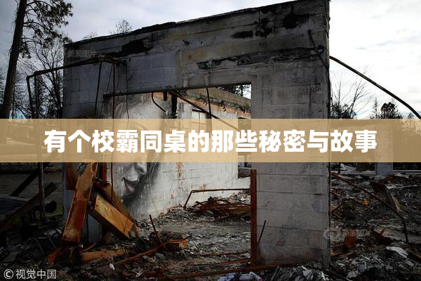 有个校霸同桌的那些秘密与故事