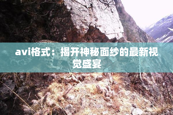 avi格式：揭开神秘面纱的最新视觉盛宴