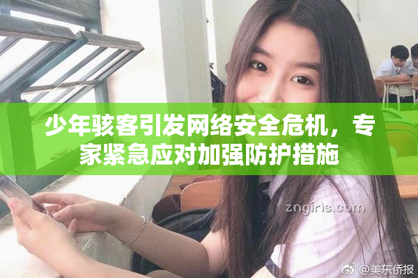 少年骇客引发网络安全危机，专家紧急应对加强防护措施