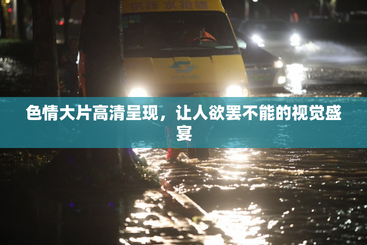 色情大片高清呈现，让人欲罢不能的视觉盛宴