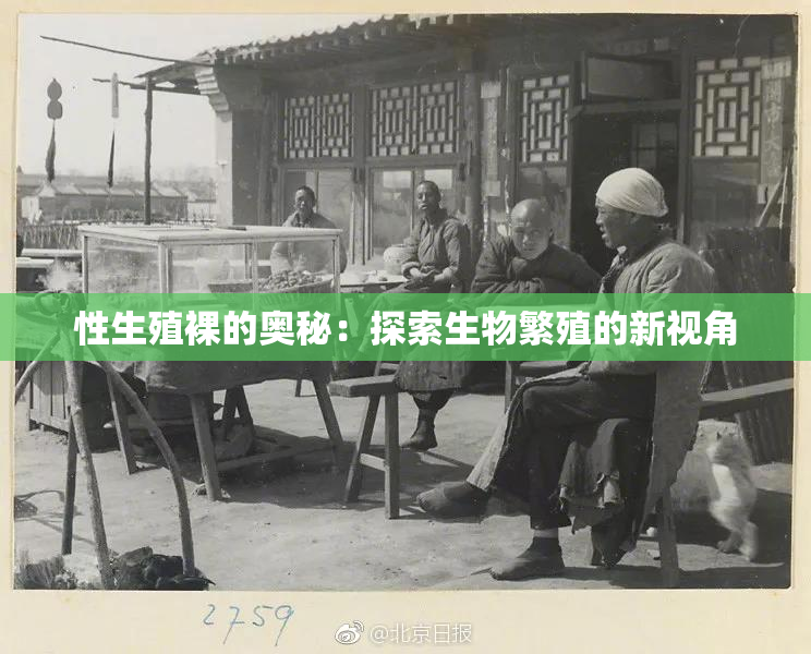 性生殖裸的奥秘：探索生物繁殖的新视角