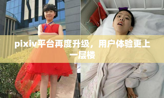 pixiv平台再度升级，用户体验更上一层楼