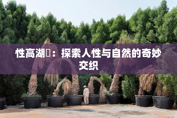 性高湖婬：探索人性与自然的奇妙交织