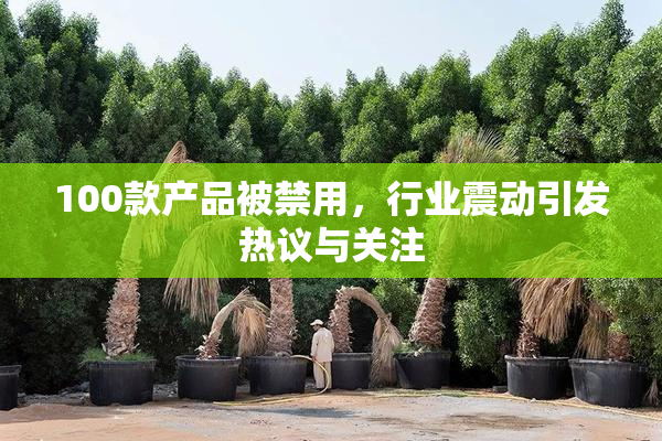 100款产品被禁用，行业震动引发热议与关注