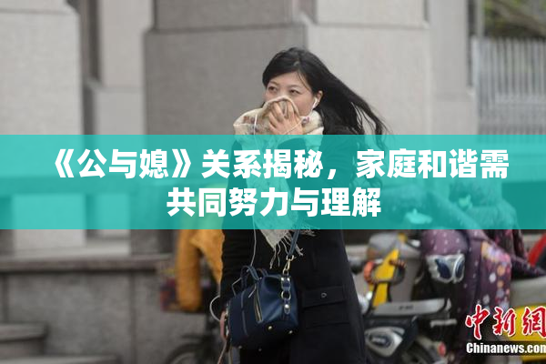 《公与媳》关系揭秘，家庭和谐需共同努力与理解
