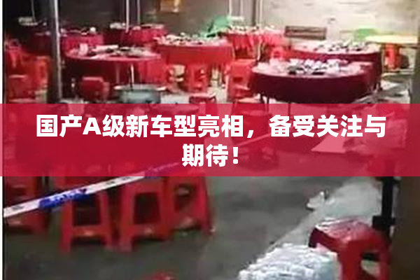 国产A级新车型亮相，备受关注与期待！