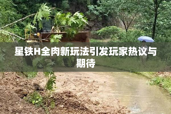 星铁H全肉新玩法引发玩家热议与期待