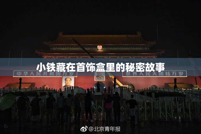小铁藏在首饰盒里的秘密故事