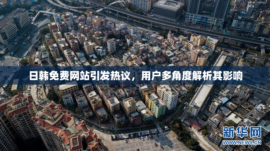 日韩免费网站引发热议，用户多角度解析其影响