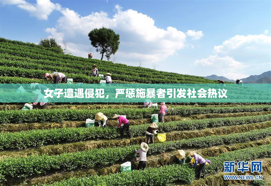 女子遭遇侵犯，严惩施暴者引发社会热议
