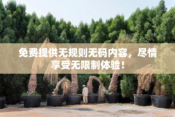 免费提供无规则无码内容，尽情享受无限制体验！