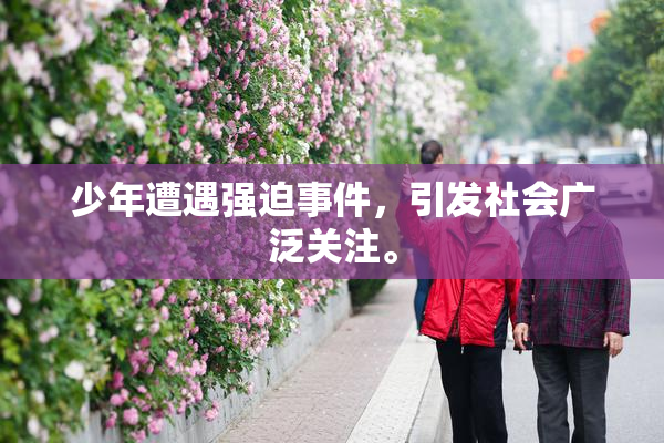 少年遭遇强迫事件，引发社会广泛关注。