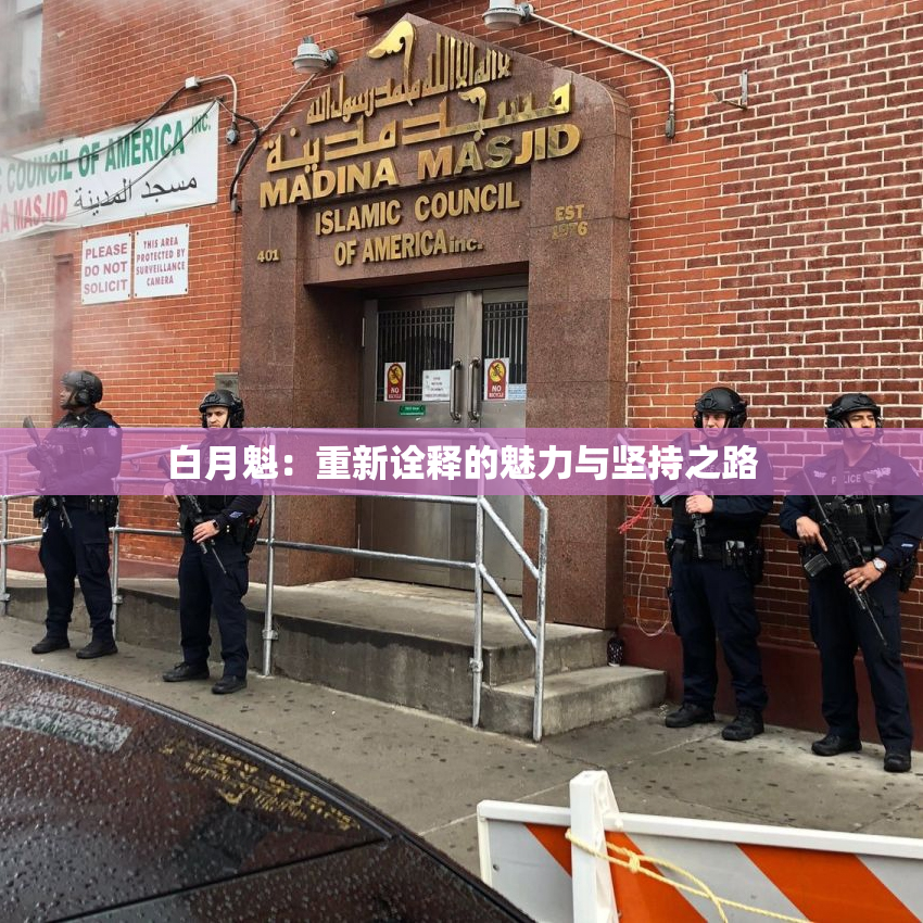 白月魁：重新诠释的魅力与坚持之路