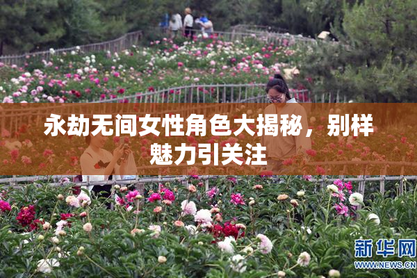 永劫无间女性角色大揭秘，别样魅力引关注