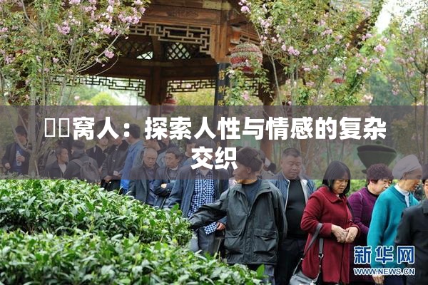 妺妺窝人：探索人性与情感的复杂交织
