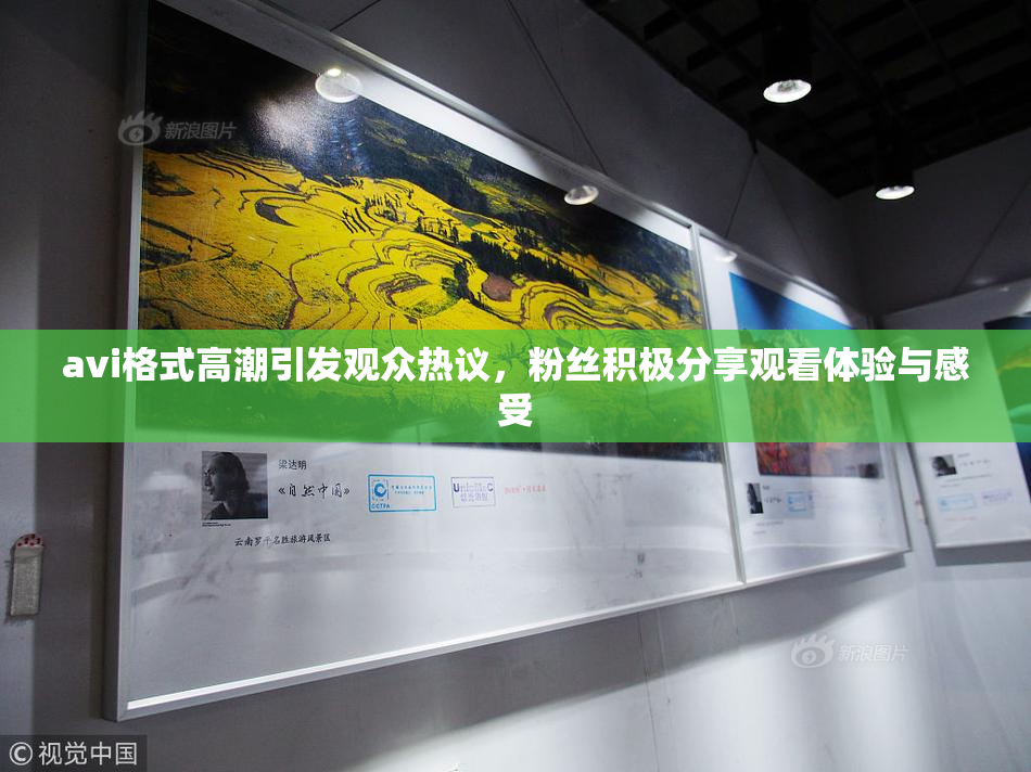 avi格式高潮引发观众热议，粉丝积极分享观看体验与感受