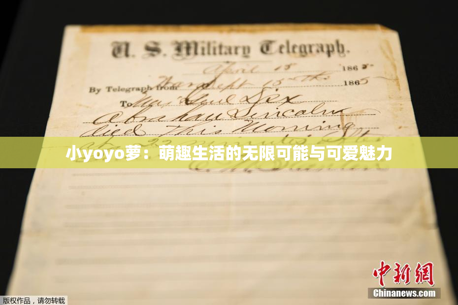 小yoyo萝：萌趣生活的无限可能与可爱魅力