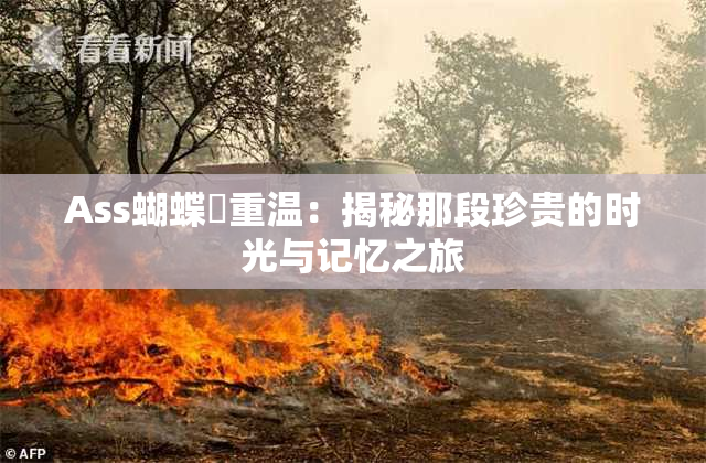 Ass蝴蝶泬重温：揭秘那段珍贵的时光与记忆之旅