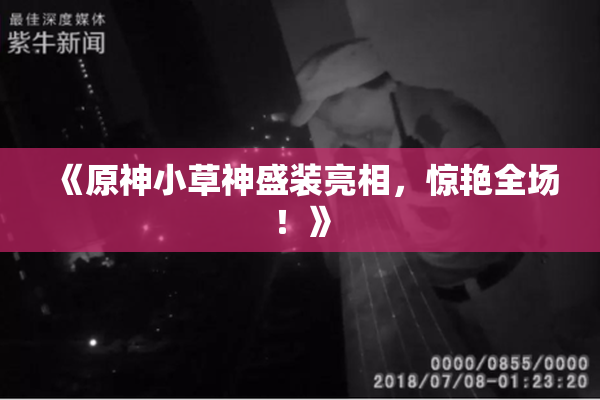 《原神小草神盛装亮相，惊艳全场！》