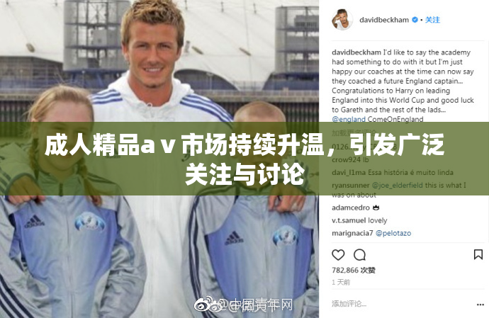 成人精品aⅴ市场持续升温，引发广泛关注与讨论