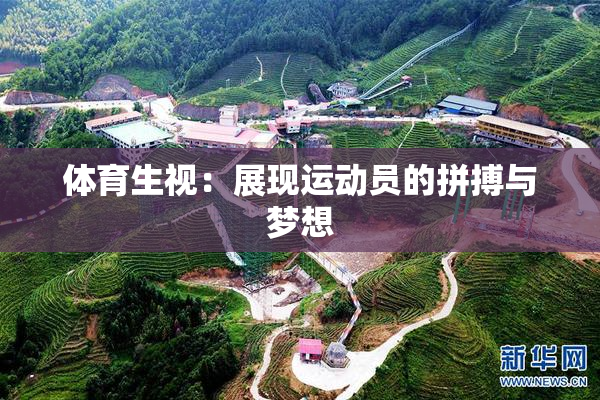 体育生视：展现运动员的拼搏与梦想