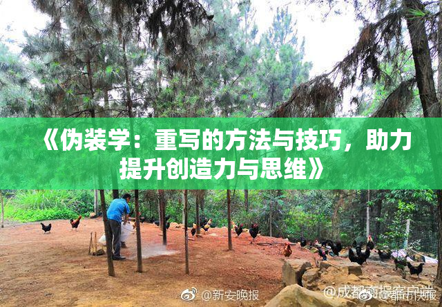 《伪装学：重写的方法与技巧，助力提升创造力与思维》